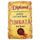 Magnet Diploma pentru cea mai buna CUMNATA din lume, lemn