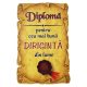 Magnet Diploma pentru Cea mai buna DIRIGINTA din lume, lemn