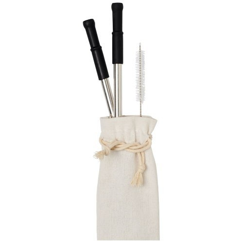 Set 2 paie reutilizabile si perie, Everestus, JU038, otel inoxidabil, gri