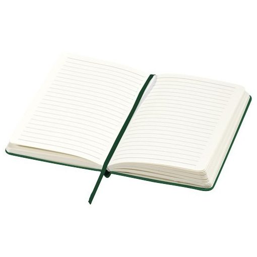 Agenda A5 cu pagini dictando, coperta tare cu elastic, Everestus, CC07, carton, verde, lupa de citit inclusa