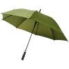 Umbrela 23 inch, deschidere automata, rezistenta la vant, Everestus, 20IAN046, Poliester, Verde
