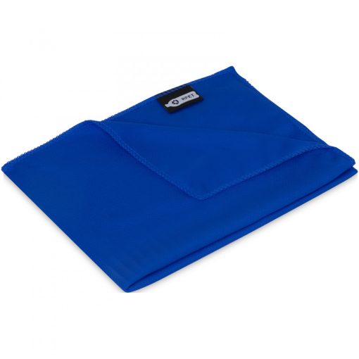 Prosop fitness, Everestus, 21OCT1419, 11.5 x 15 x 1 cm, Plastic, Albastru, saculet inclus
