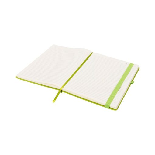 Agenda B5 cu pagini dictando, coperta cu elastic, Everestus, RA03, pu, verde, lupa de citit inclusa