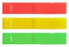 Set 3 benzi elastice, 21MAR2462, 90x220x10 mm, Everestus, Cauciuc, Multicolor