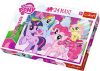 Puzzle Trefl 24 Maxi Prietenia Este Magica